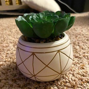 Fake Succulent Plant
